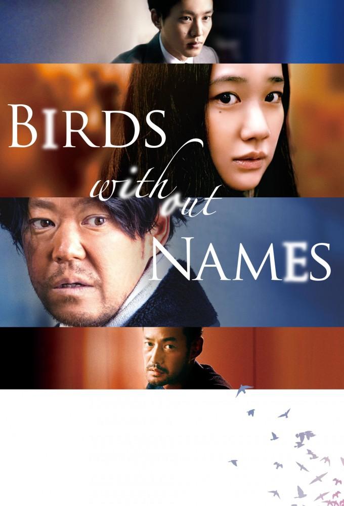 Birds Without Names