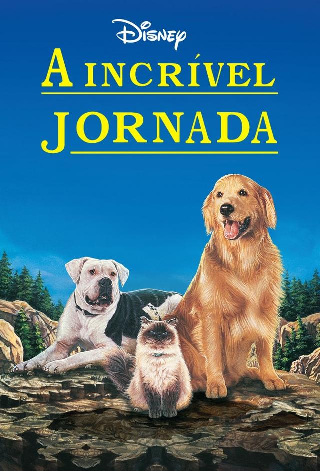 L'Incroyable Voyage