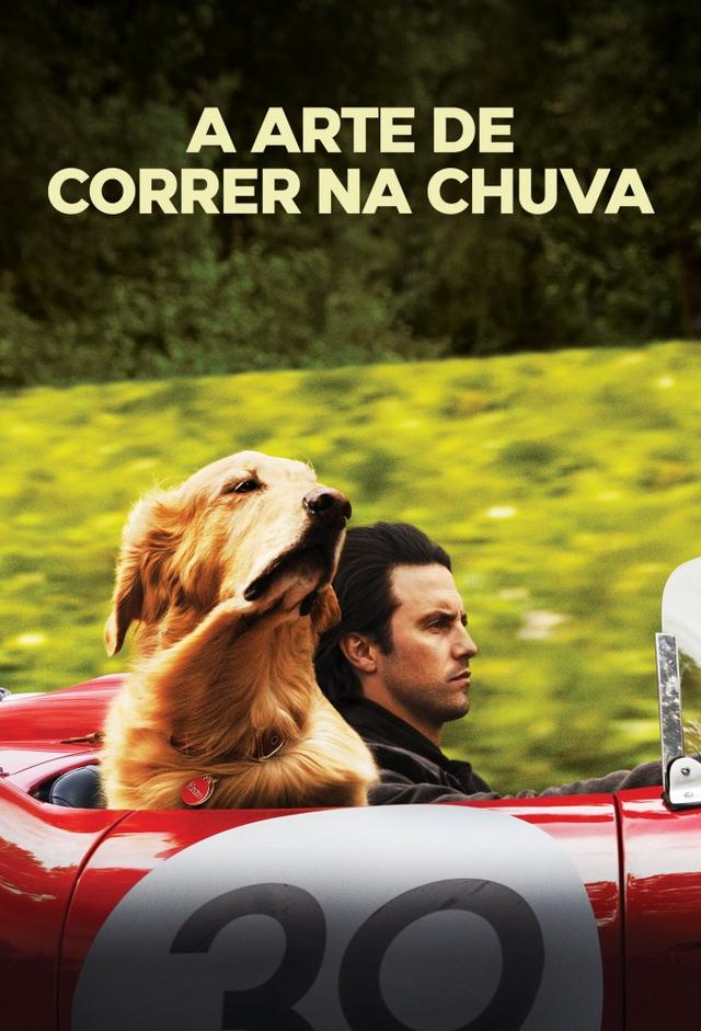 Enzo: Yağmurda Yarış Sanatı