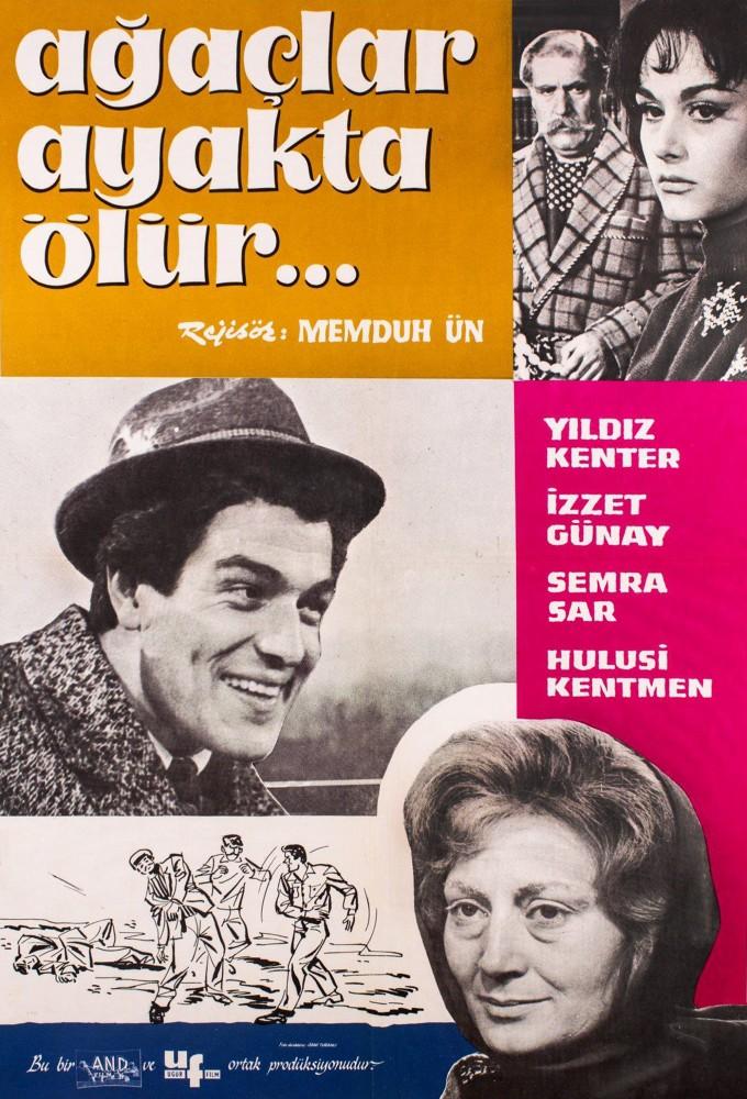 Agaçlar ayakta ölür