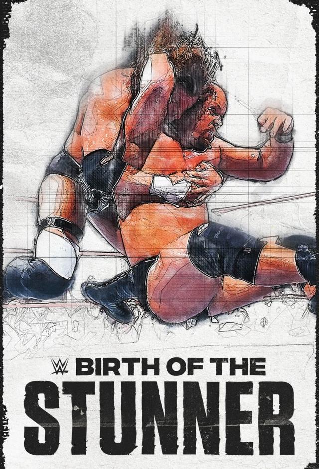 WWE: Birth of The Stunner