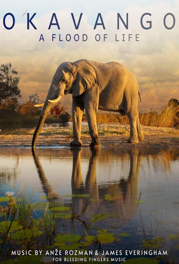 Okavango: A Flood of Life