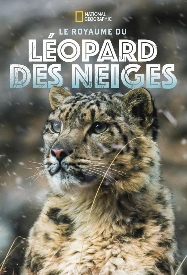 The Frozen Kingdom of the Snow Leopard