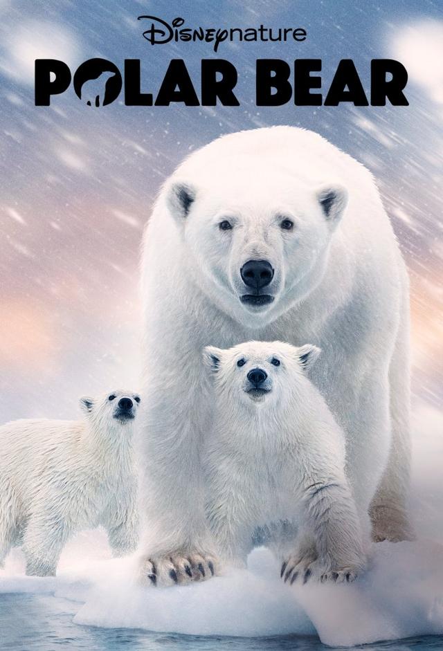 Polar Bear