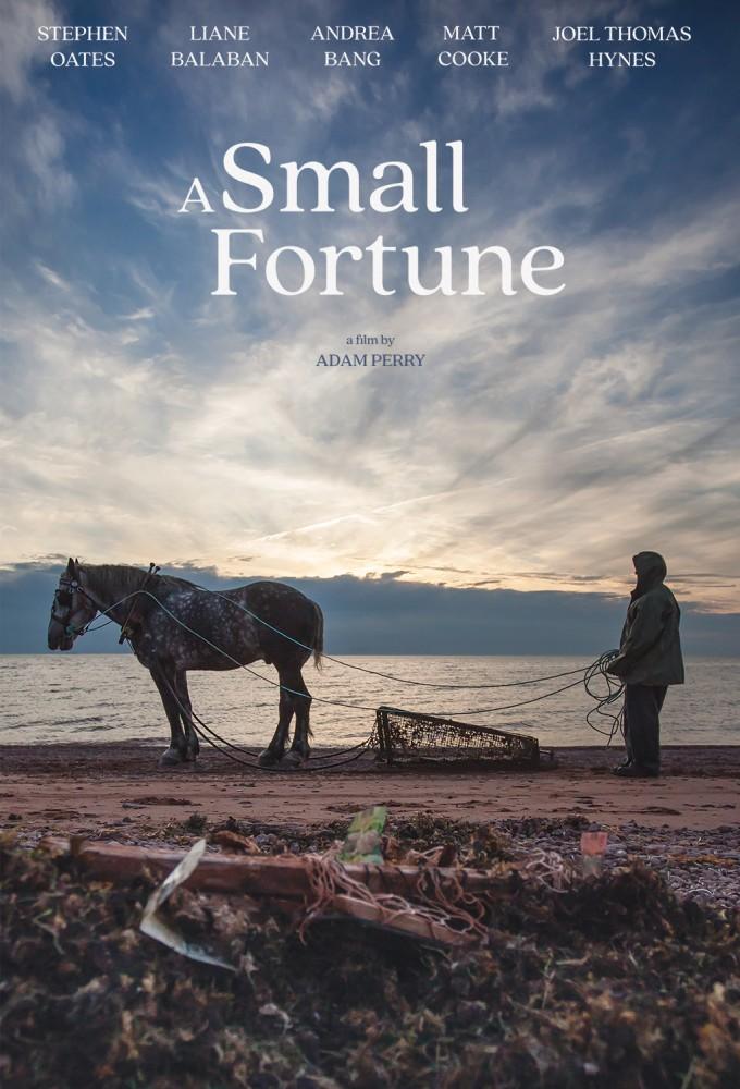 A Small Fortune