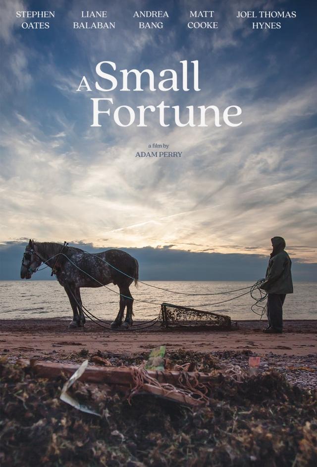 A Small Fortune