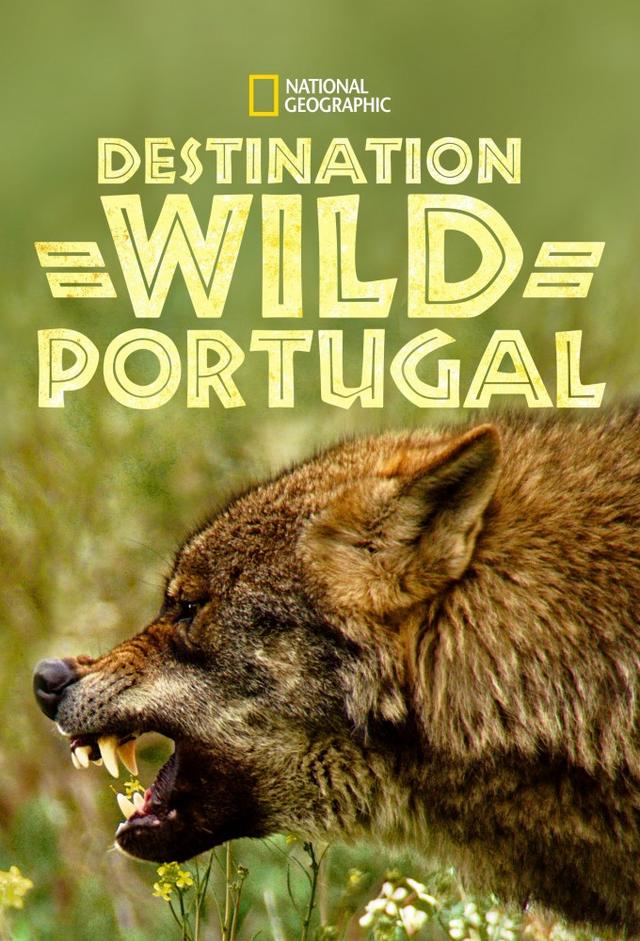 Destination Wild : Portugal