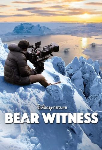 Bear Witness