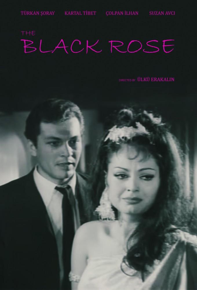 Black Rose