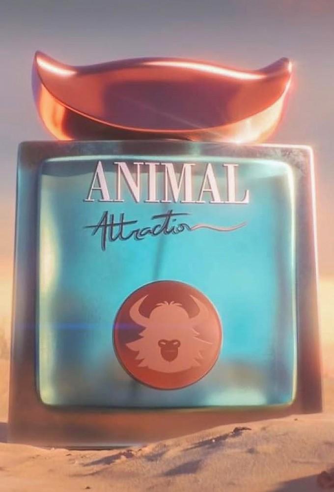 Animal Attraction