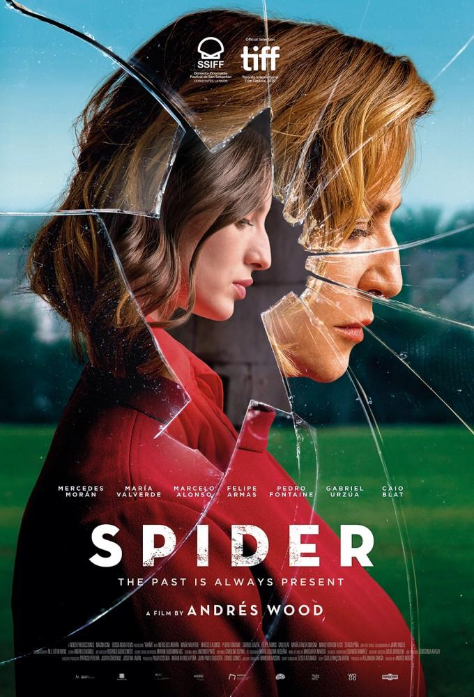 Spider