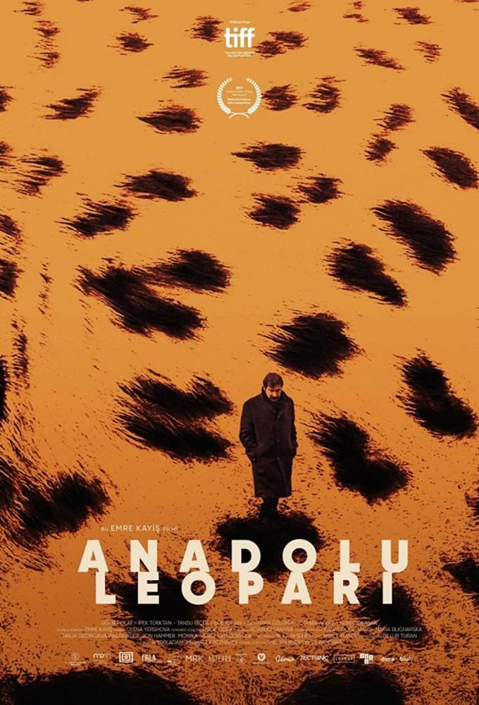 Anadolu Leoparı