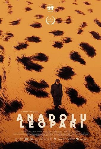 Anadolu Leoparı