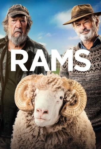 Rams