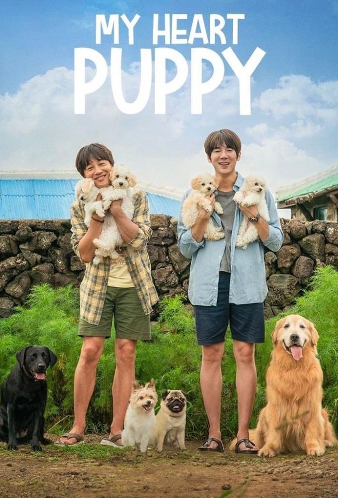 My Heart Puppy
