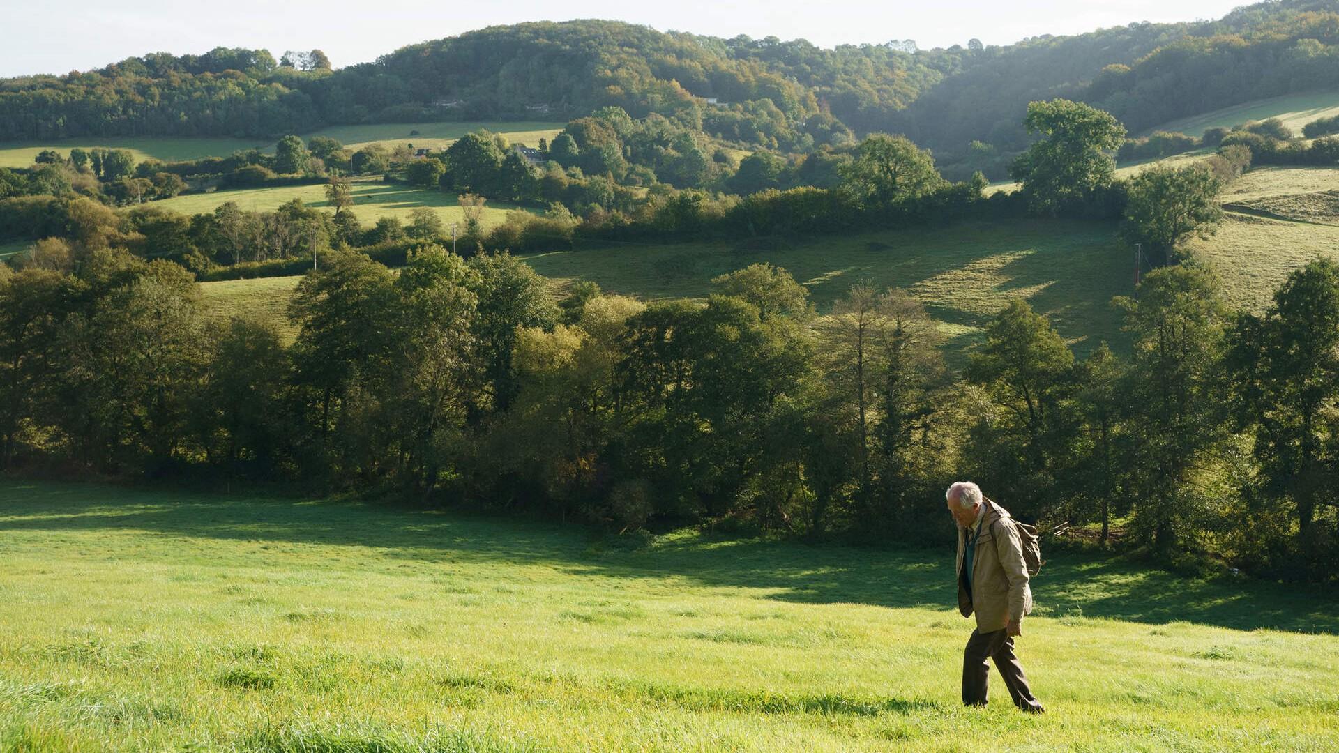 The Unlikely Pilgrimage of Harold Fry