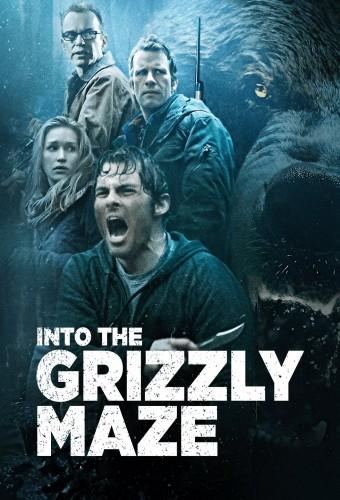 Into the Grizzly Maze