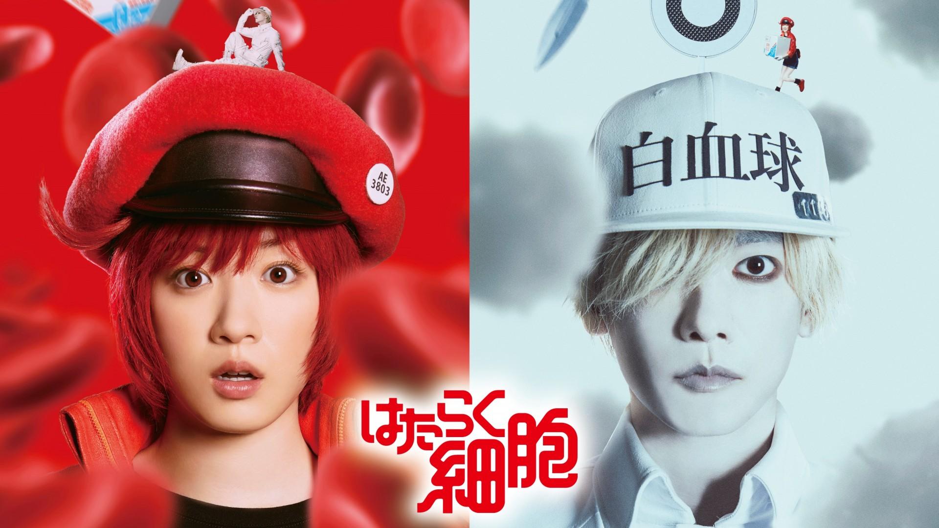 Cells at Work!