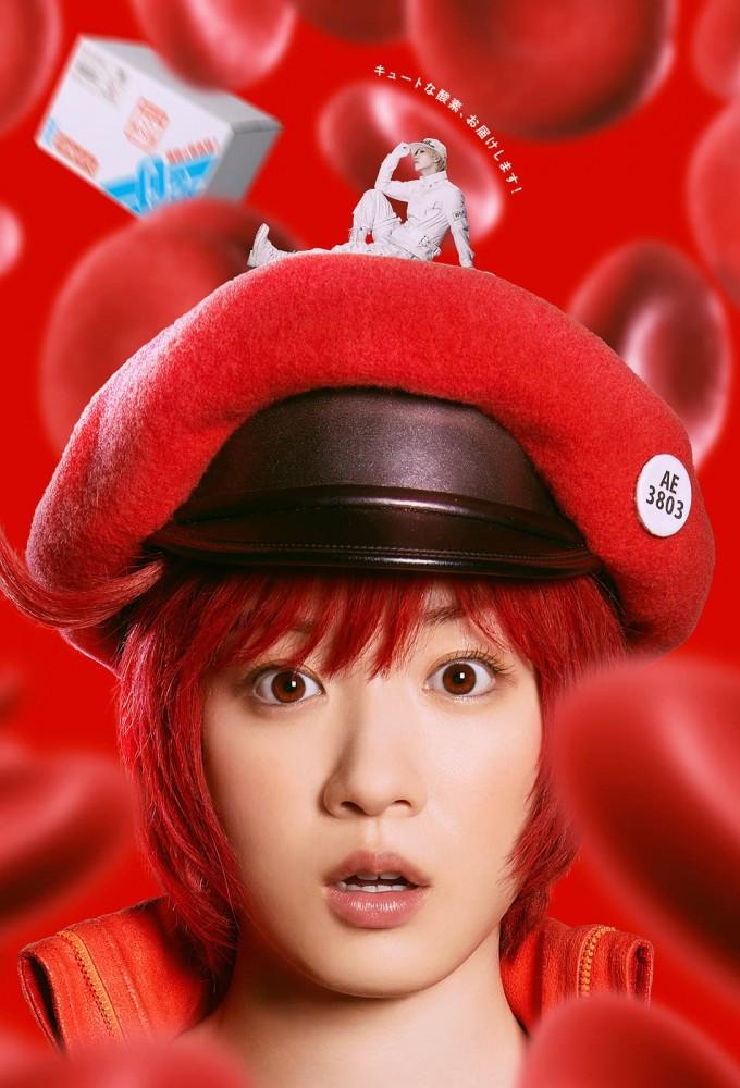 Cells at Work!