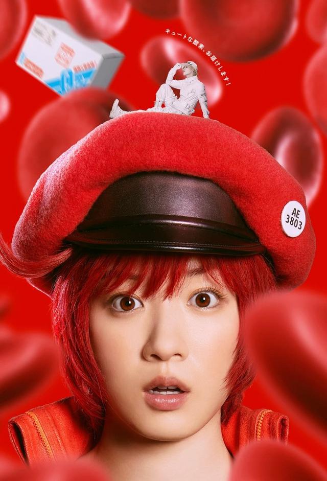 Cells at Work!