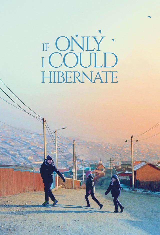 If Only I Could Hibernate