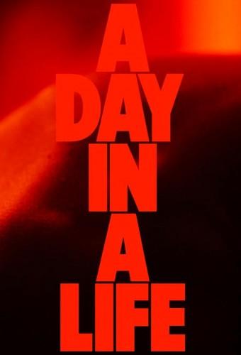 A Day in a Life