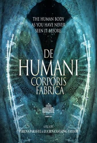de humani corporis fabrica 