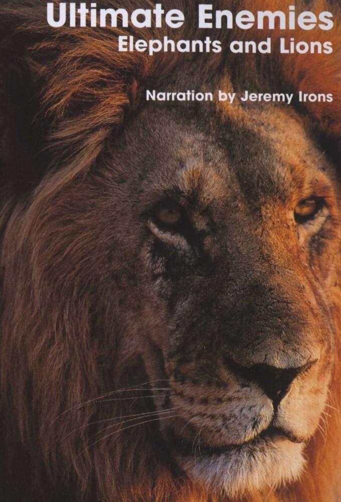 Ultimate Enemies: Elephants and Lions