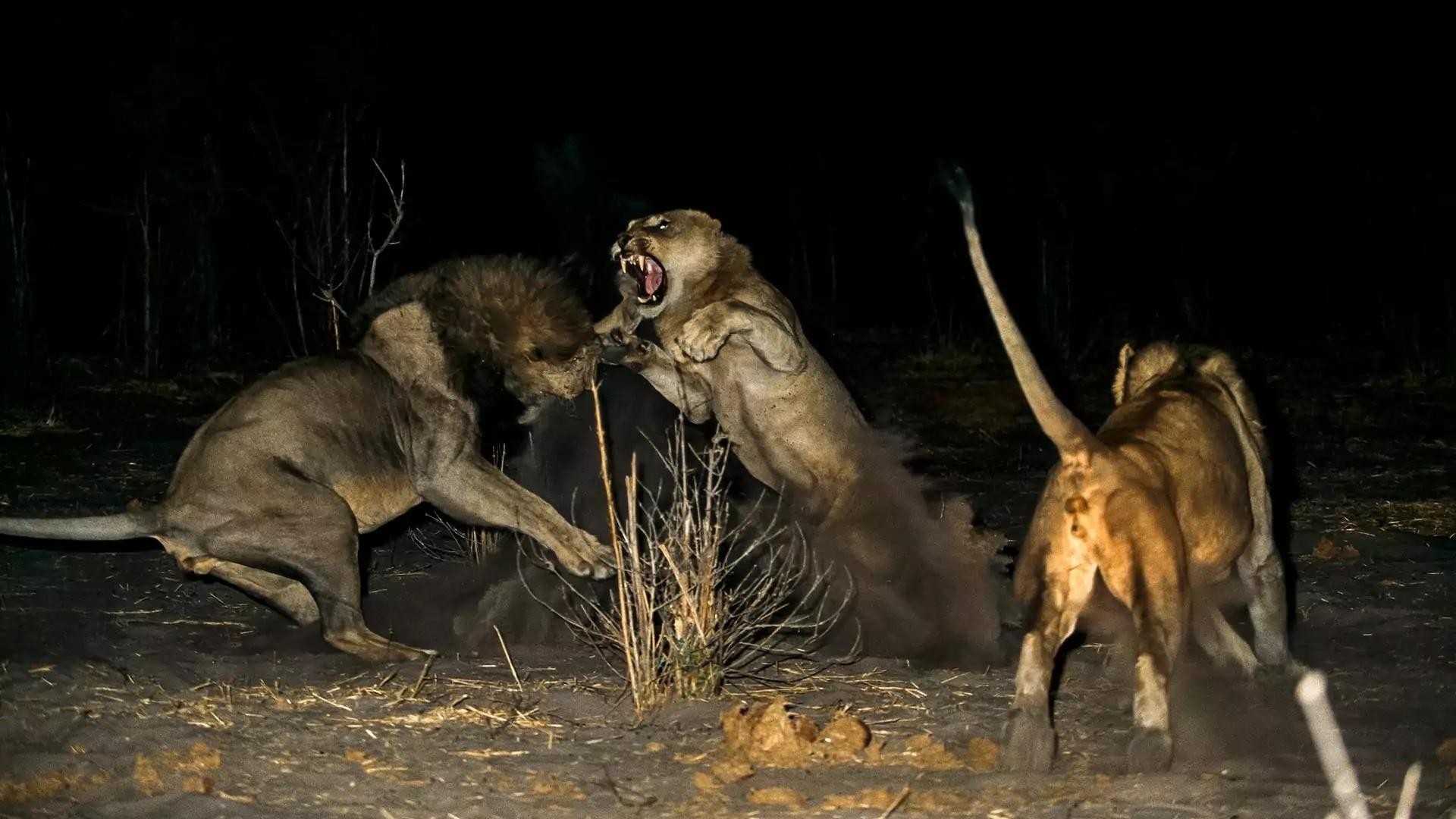 Eternal Enemies: Revealed