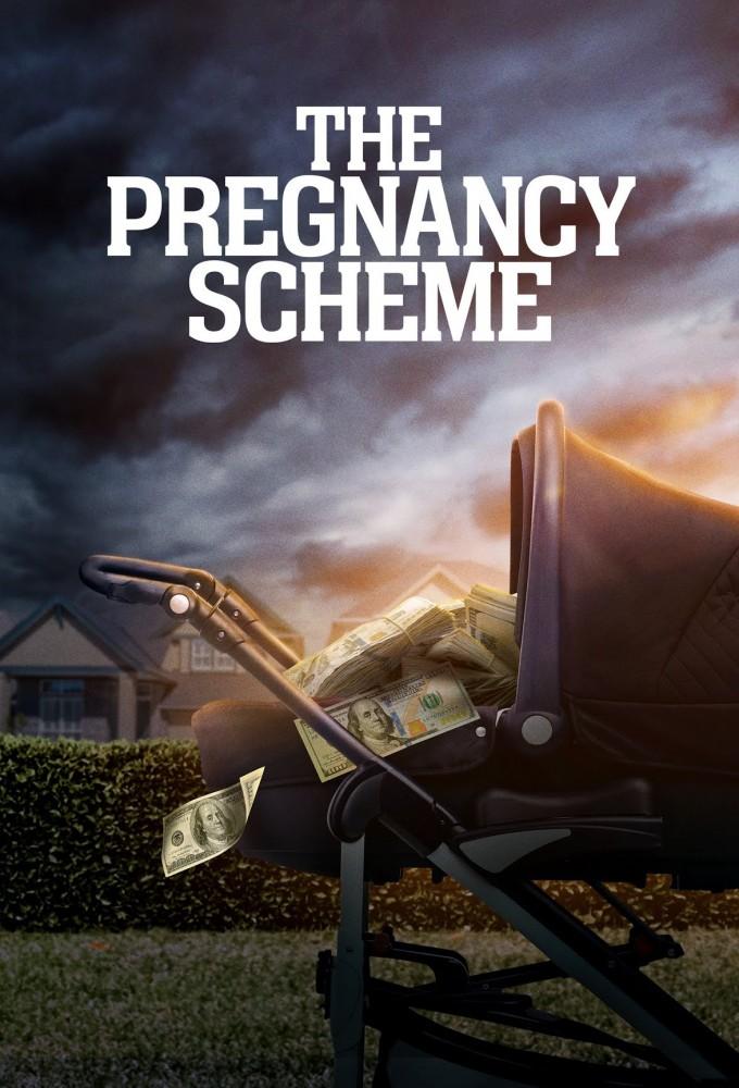 The Pregnancy Scheme