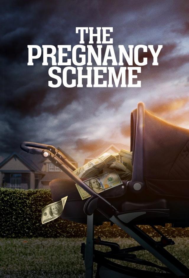 The Pregnancy Scheme