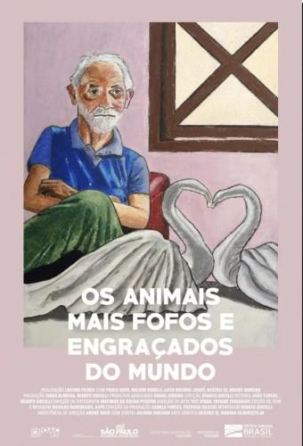 Os Animais Mais Fofos e Engraçados do Mundo 