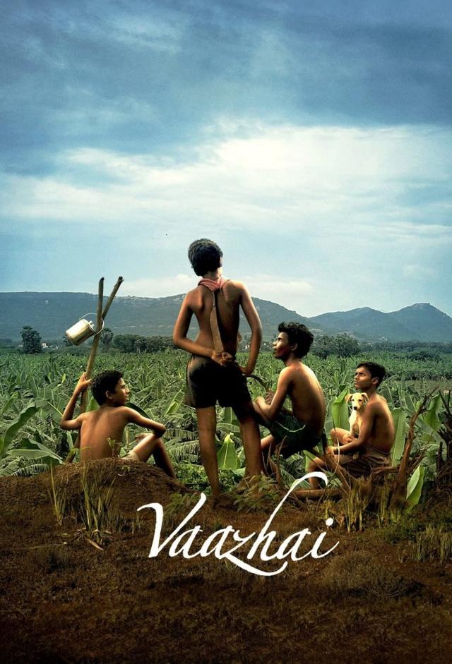 Vaazhai