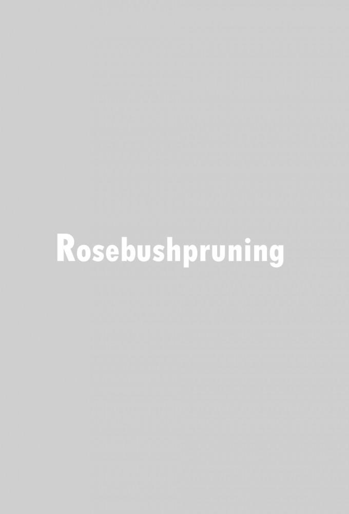 Rosebush Pruning