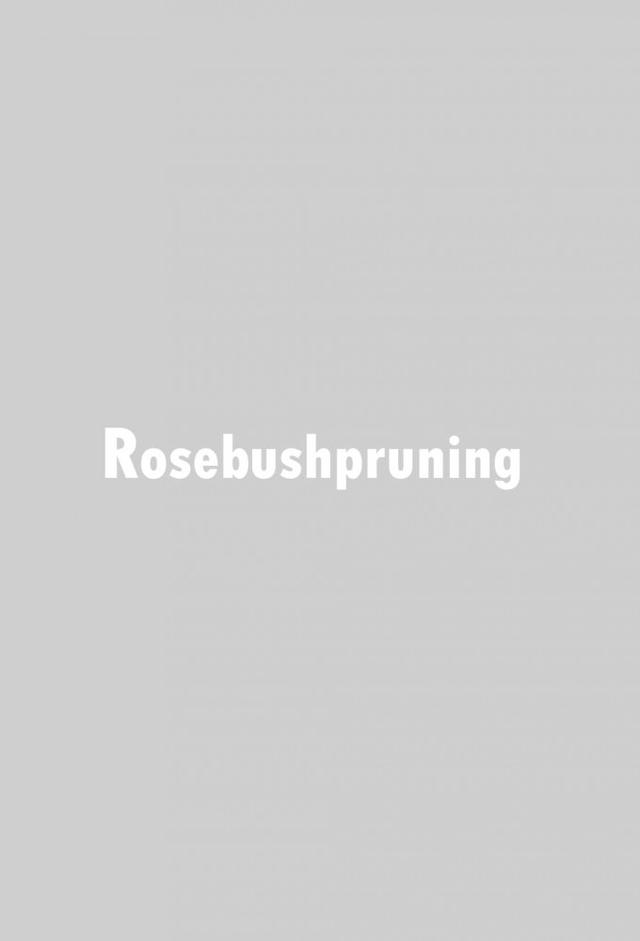 Rosebush Pruning