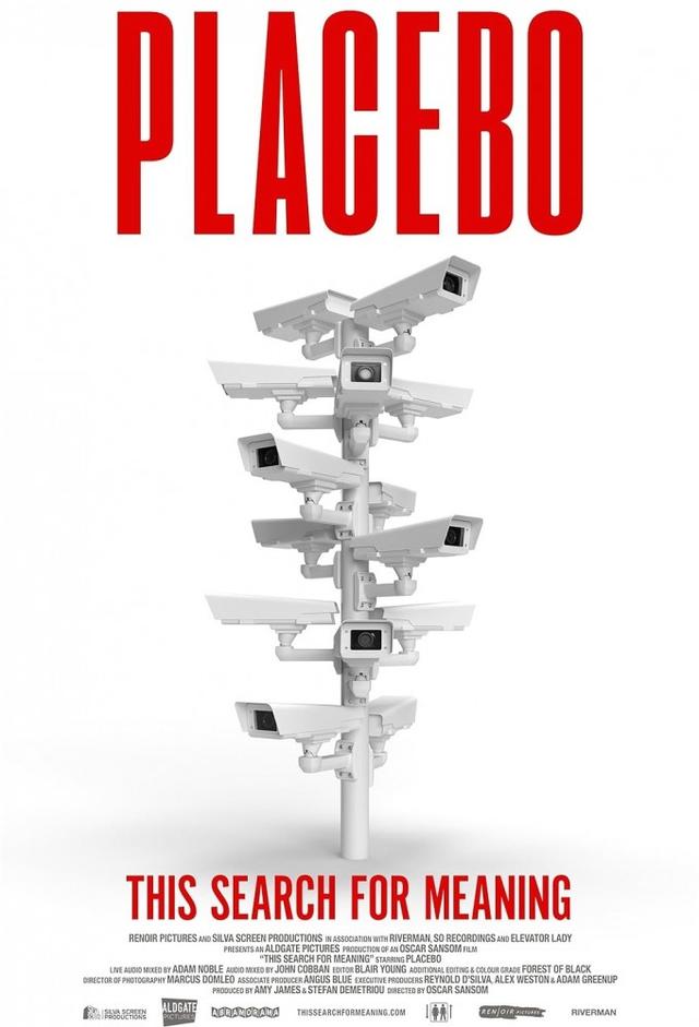 This Search For Meaning