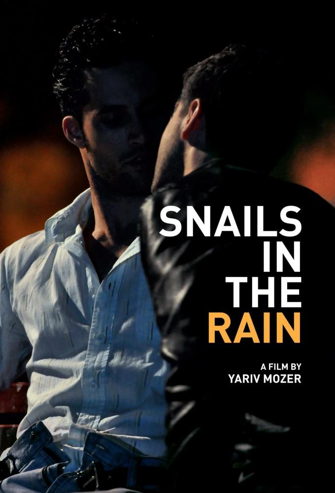 Snails in the Rain
