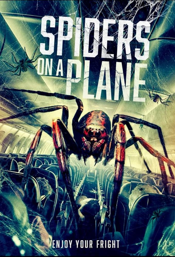 Spiders on a Plane