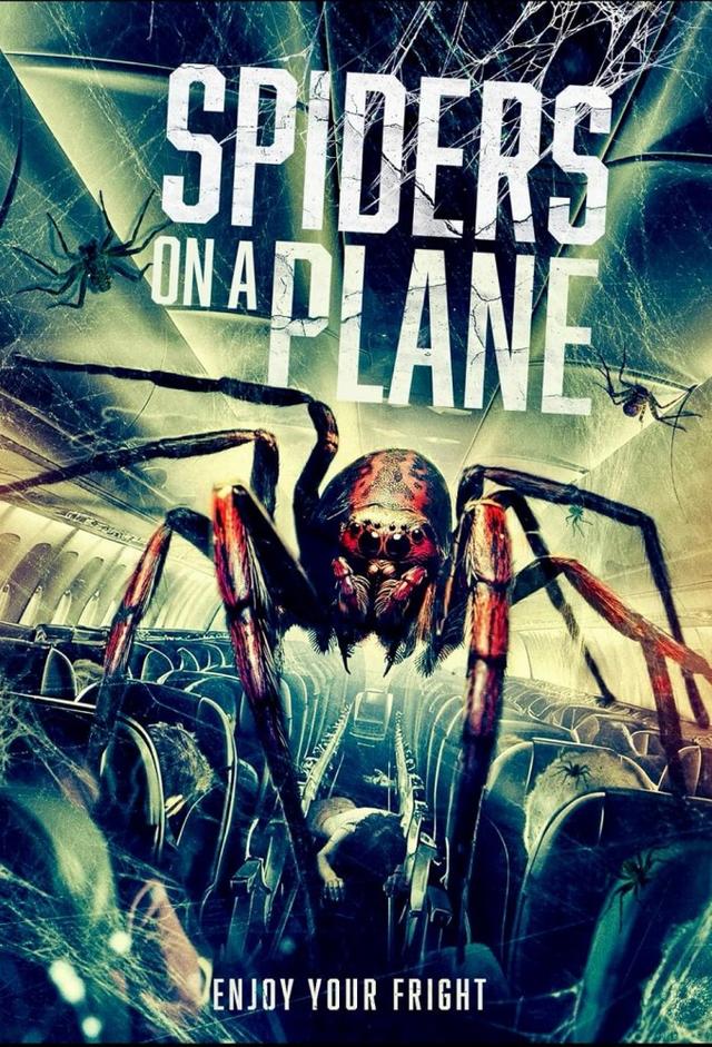 Spiders on a Plane