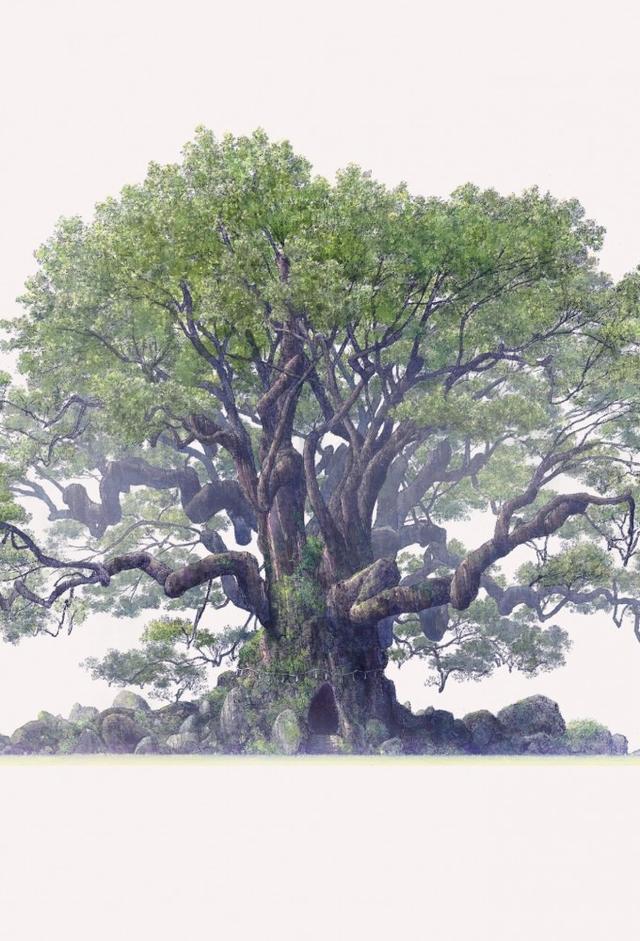 The Keeper of the Camphor Tree