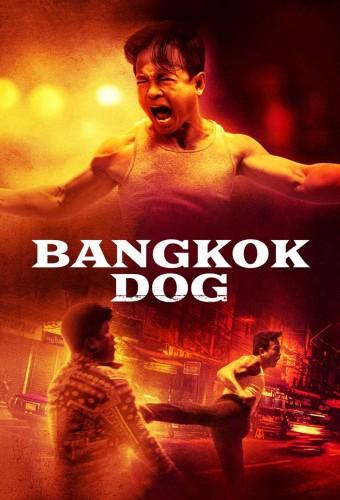 Bangkok dog