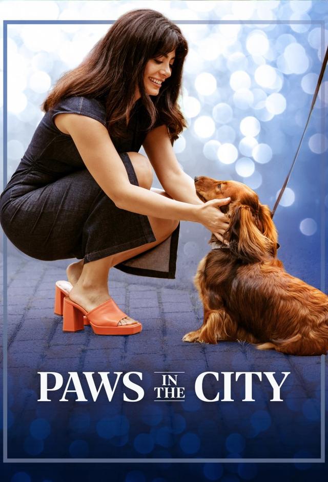 Paws In The City