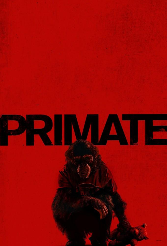 Primate