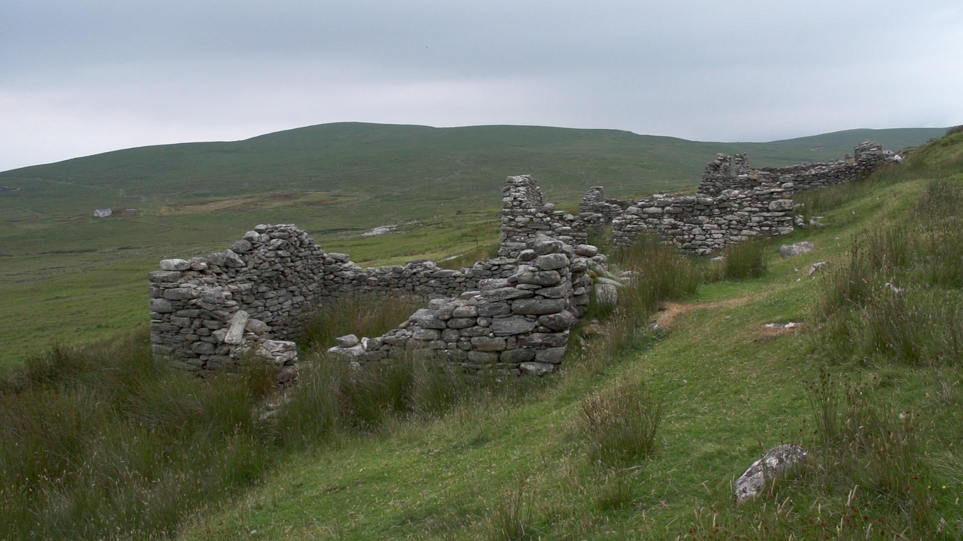 Ireland's Great Hunger and the Irish Diaspora