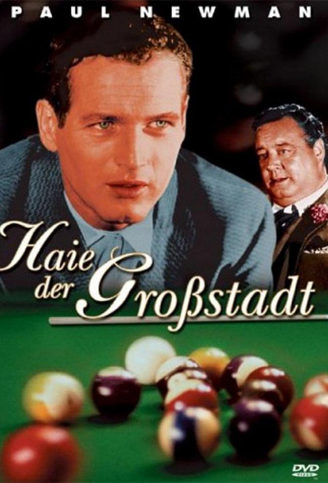 Haie der Großstadt