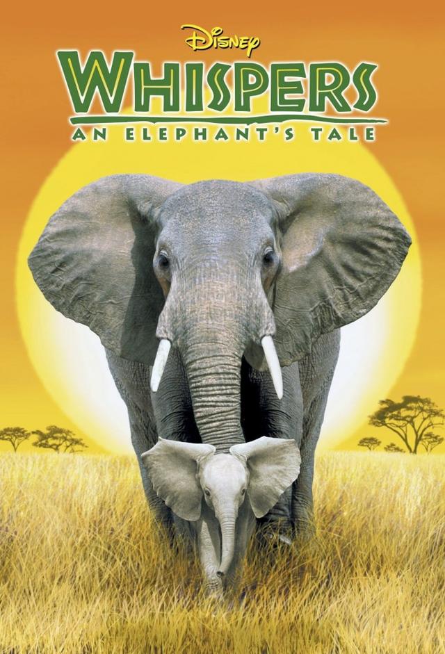 Whispers: An Elephant's Tale