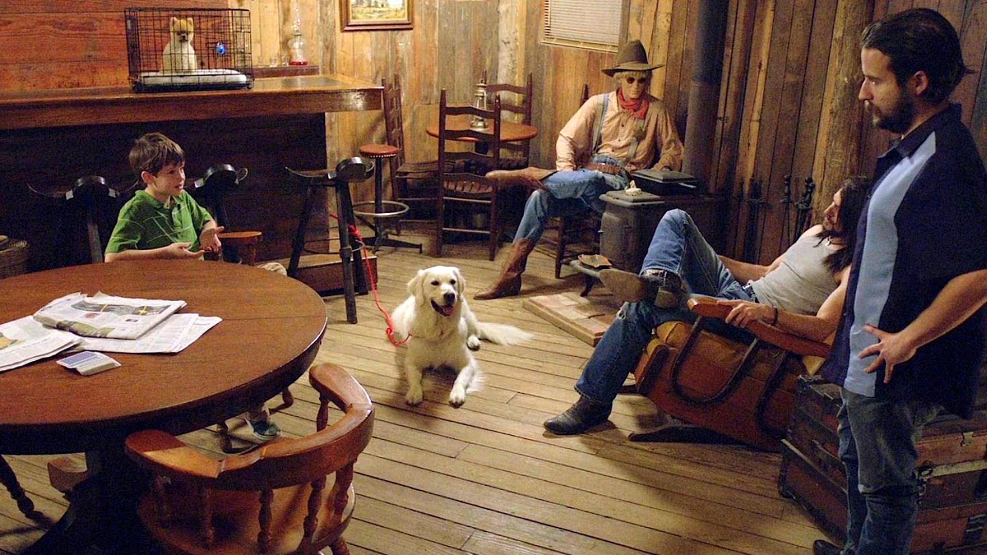 Adventures of Bailey: A Night in Cowtown