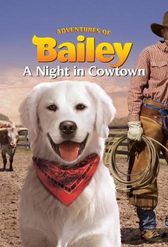 Adventures of Bailey: A Night in Cowtown