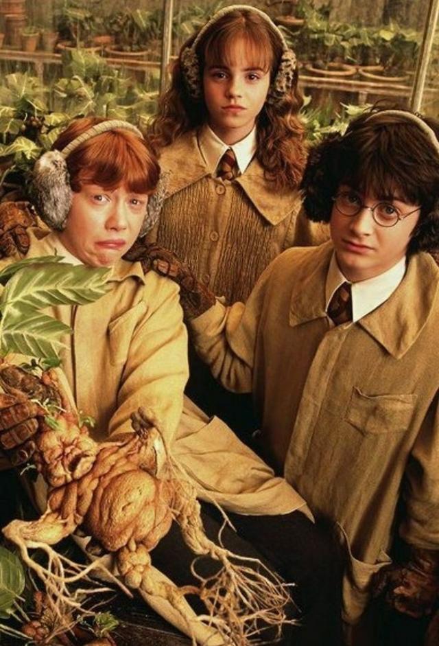 Harry Potter en de Geheime Kamer