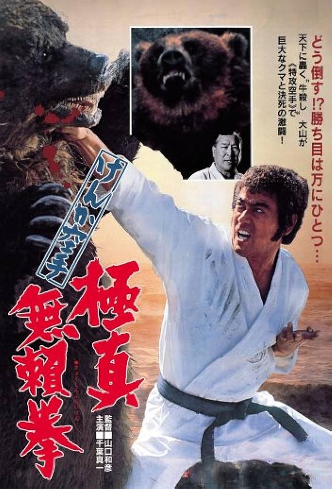 Karate Bear Fighter